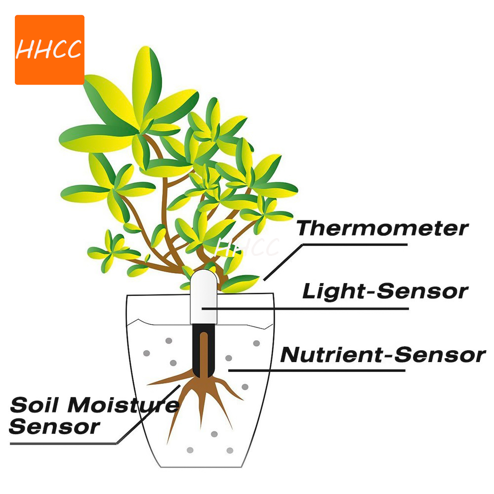 HHCC Smart Flower Monitor Flor - Smart Garden Xiaomi 리뷰 및 가격