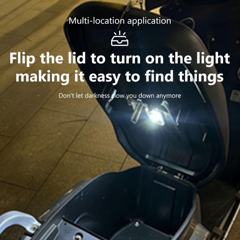 BLALION Motorcycle Locomotive  - Smart Led Garden 리뷰 및 가격