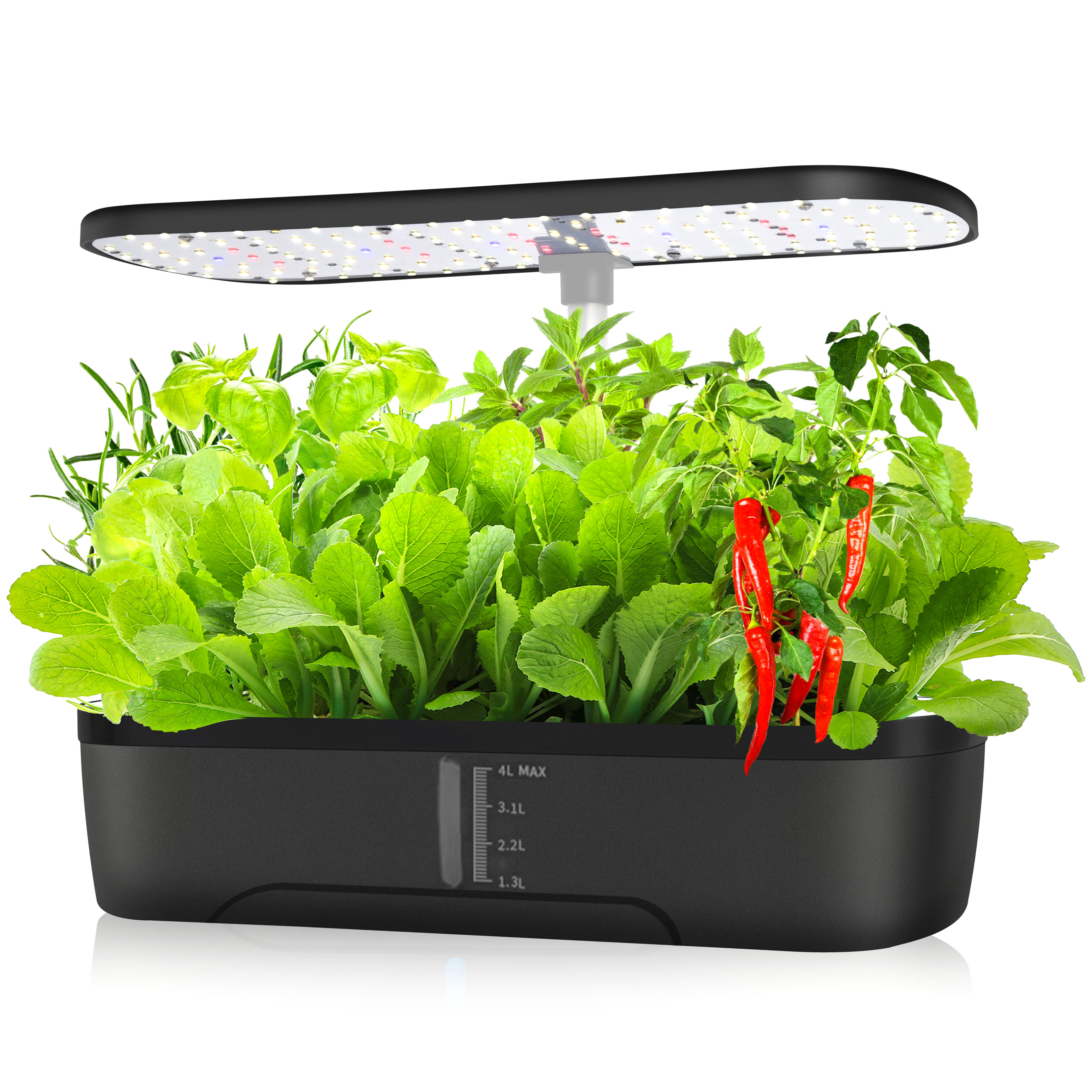 12 Pods Hydroponics Growing Sy - Indoor Herb Garden Kit 리뷰 및 가격