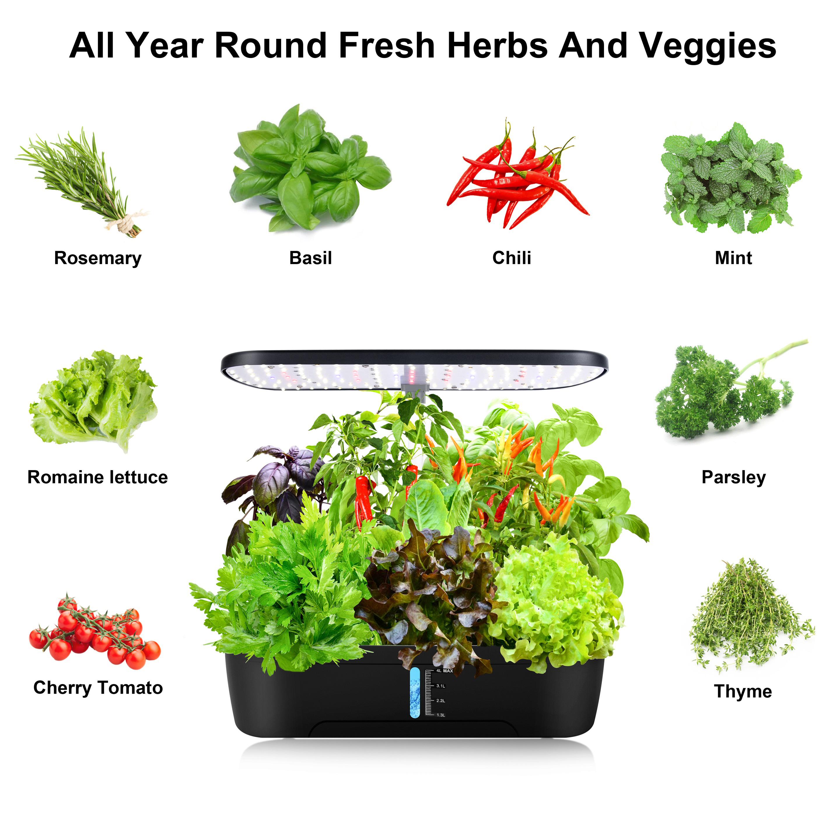 12 Pods Hydroponics Growing Sy - Indoor Herb Garden Kit 리뷰 및 가격