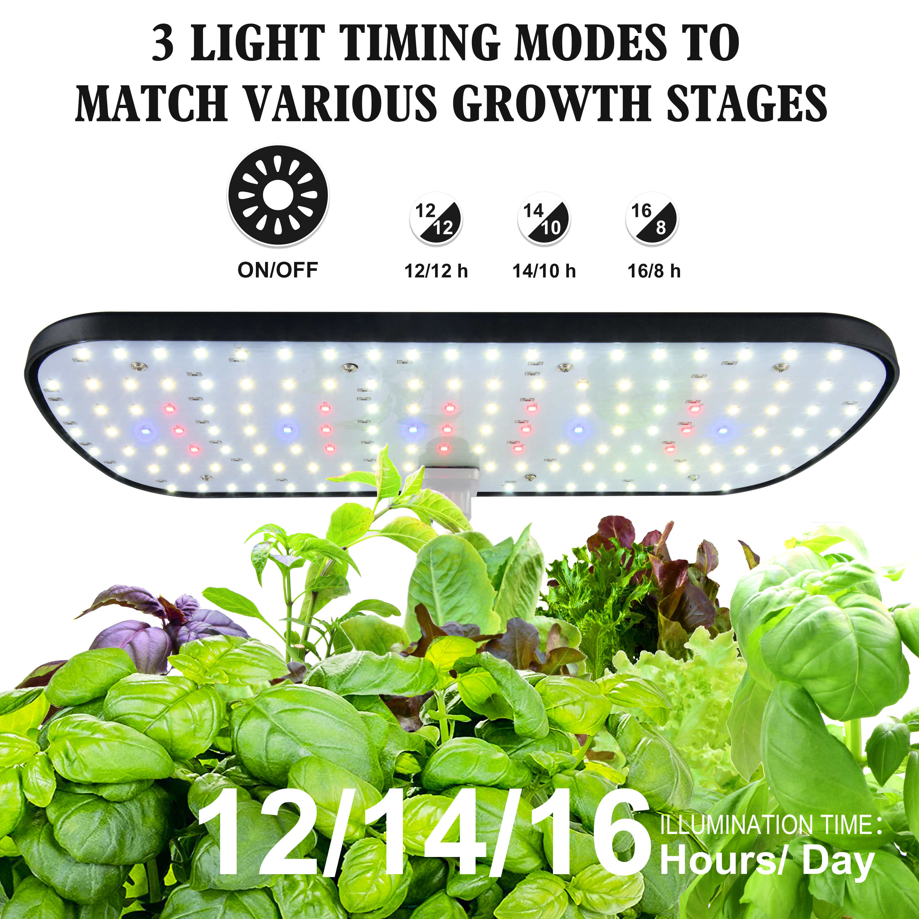 12 Pods Hydroponics Growing Sy - Indoor Herb Garden Kit 리뷰 및 가격
