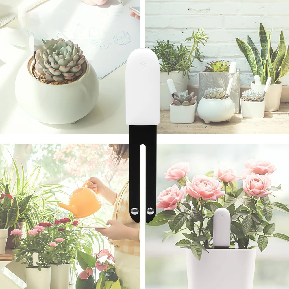 HHCC Smart Flower Flora Monito - Smart Garden Xiaomi 리뷰 및 가격