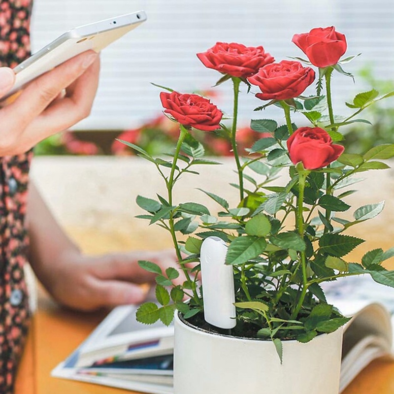 HHCC Flower Monitor Flora Gard - Smart Garden Monitor 리뷰 및 가격
