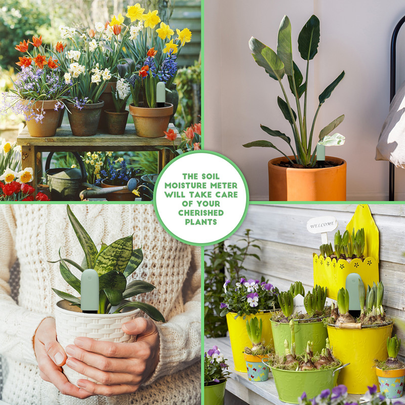 HHCC For Xiaomi Flower Care Sm - Smart Garden Xiaomi 리뷰 및 가격