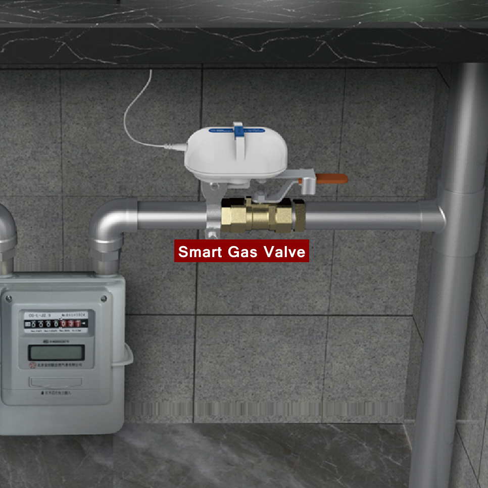 Tuya Smart Home WiFi Zigbee Wa - Smart Garden Water 리뷰 및 가격