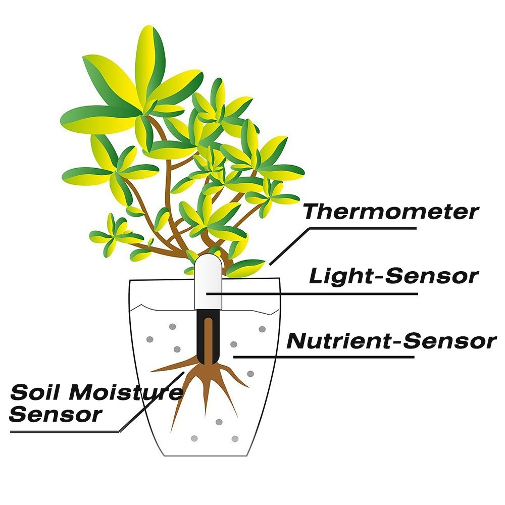 HHCC Flower Monitor Flora Gard - Smart Garden Xiaomi 리뷰 및 가격