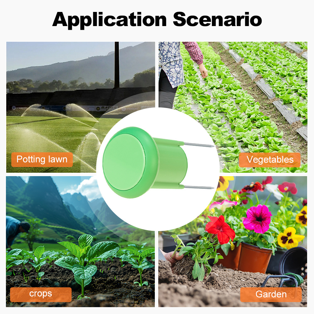 Zigbee Smart Soil Sensor Plant - Smart Garden Water 리뷰 및 가격