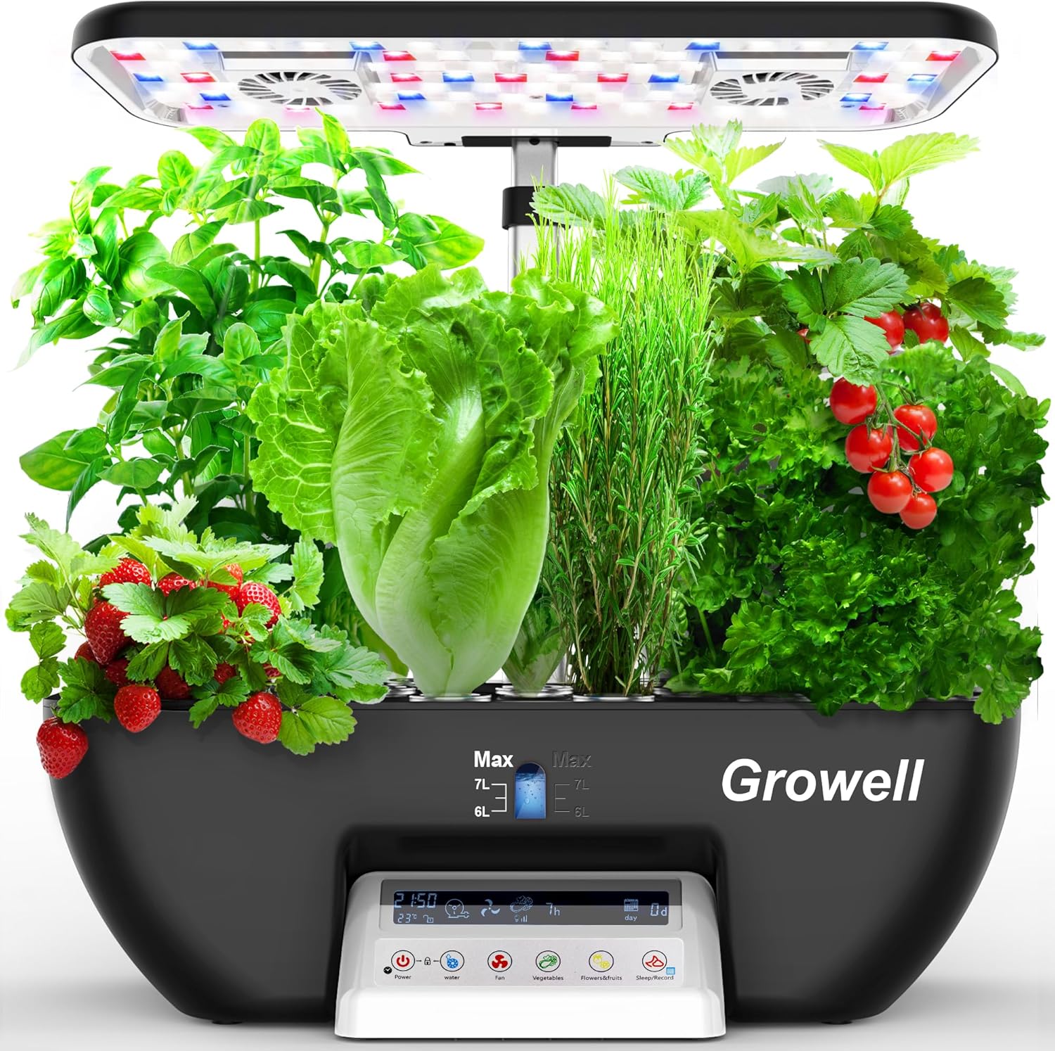 Hydroponics Growing System Kit - Indoor Herb Garden Kit 리뷰 및 가격