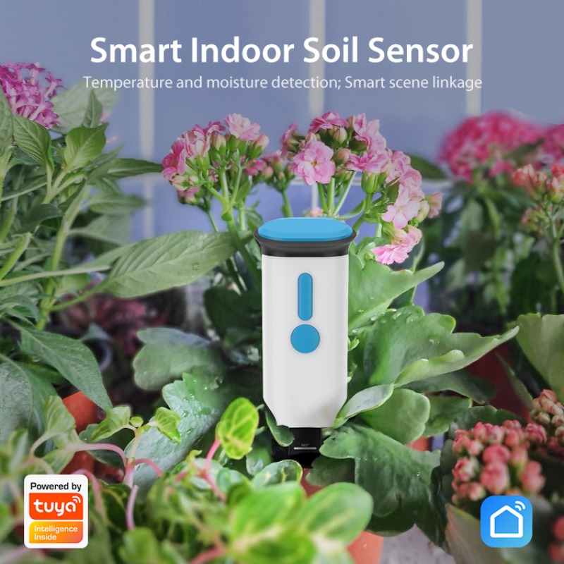 Tuya Smart Bluetooth WIFI Soil - Smart Garden Water 리뷰 및 가격