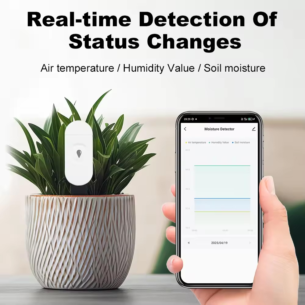 Tuya Zigbee Temperature Humidi - Smart Garden Monitor 리뷰 및 가격