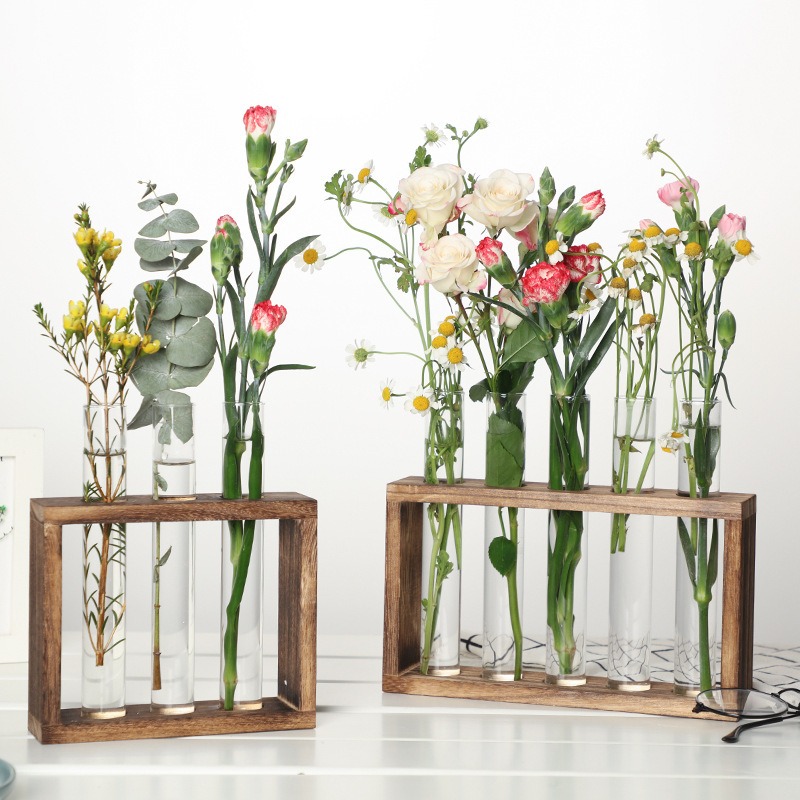 5-Tube Glass Hydroponic Plante - Indoor Herb Garden Kit 리뷰 및 가격