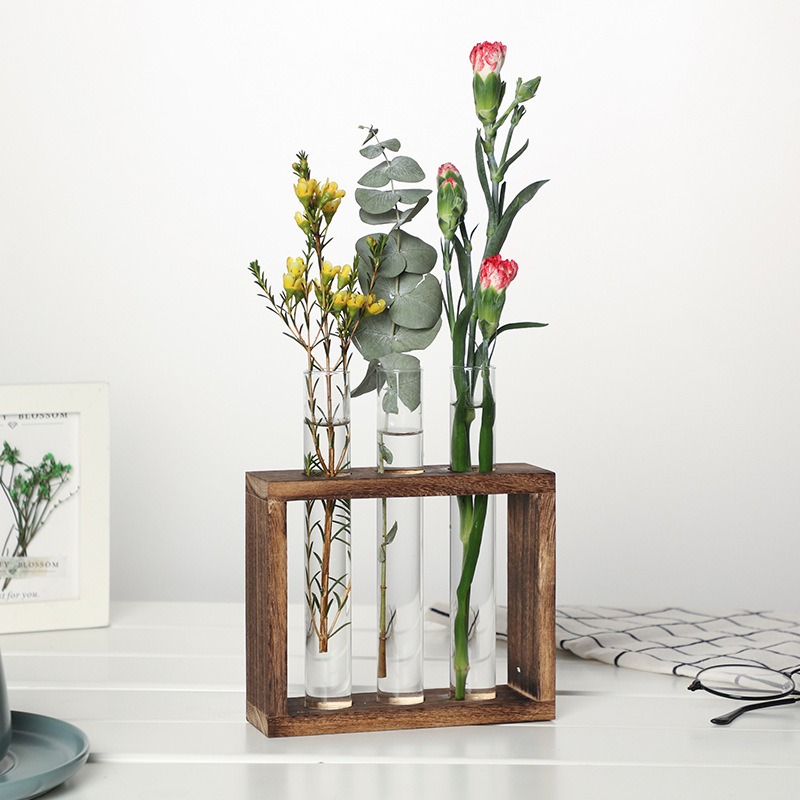 5-Tube Glass Hydroponic Plante - Indoor Herb Garden Kit 리뷰 및 가격