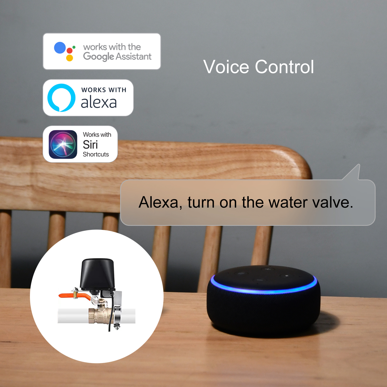 ZigBee Water/Gas Valve Remote  - Smart Garden Zigbee 리뷰 및 가격