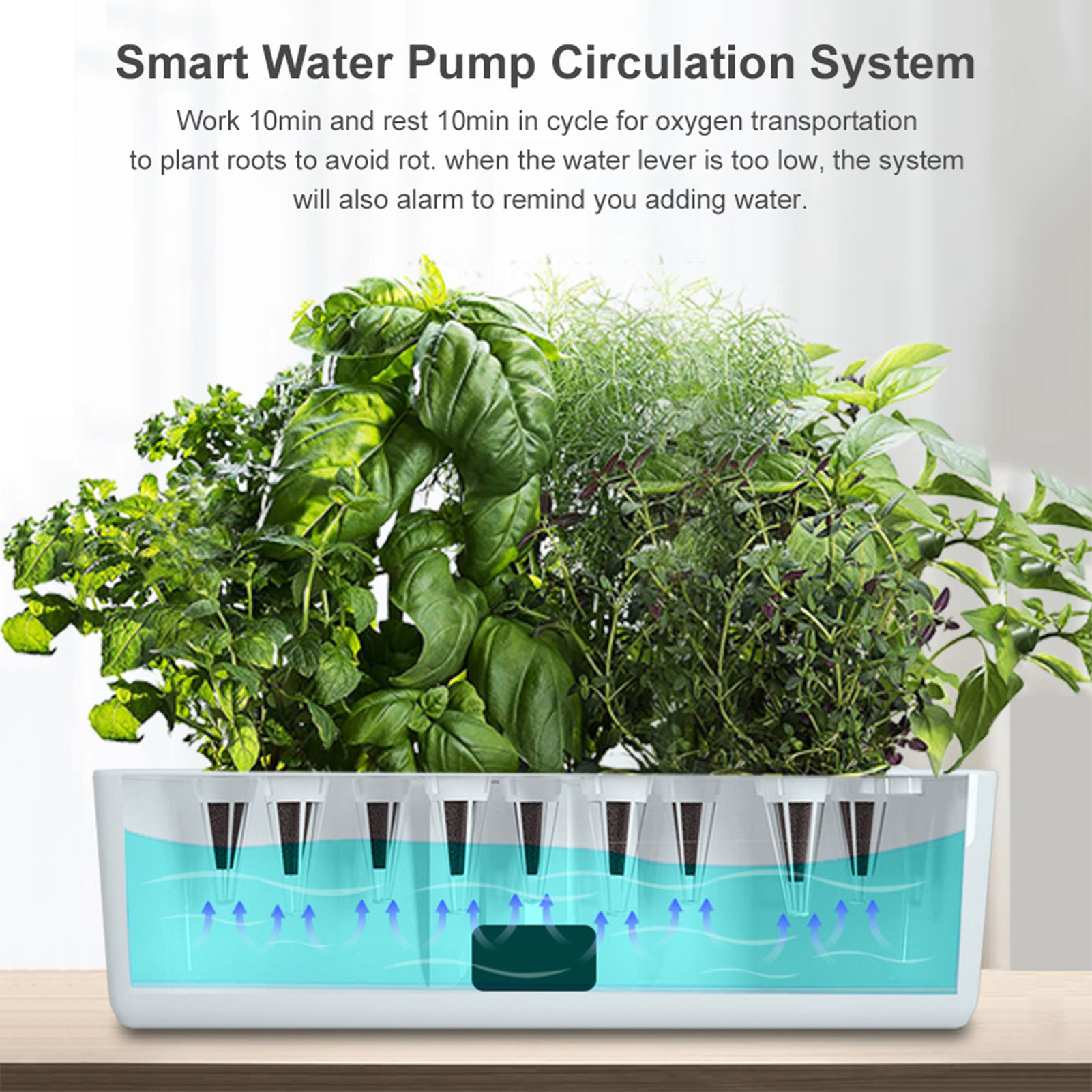 Smart Hydroponics Growing Syst - Indoor Herb Garden Kit 리뷰 및 가격