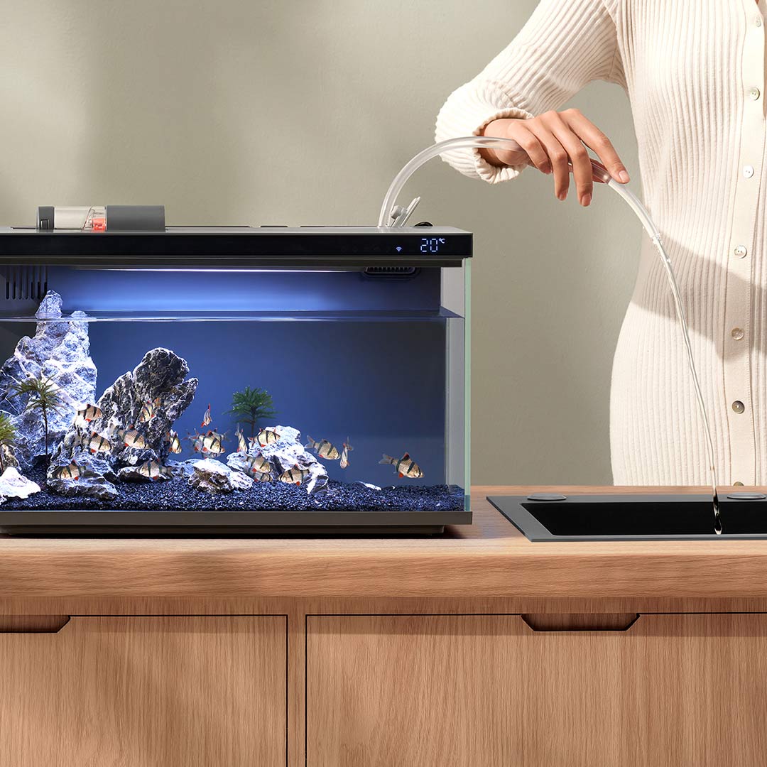 Xiaomi Mijia Smart Fish Tank M - Smart Garden Xiaomi 리뷰 및 가격