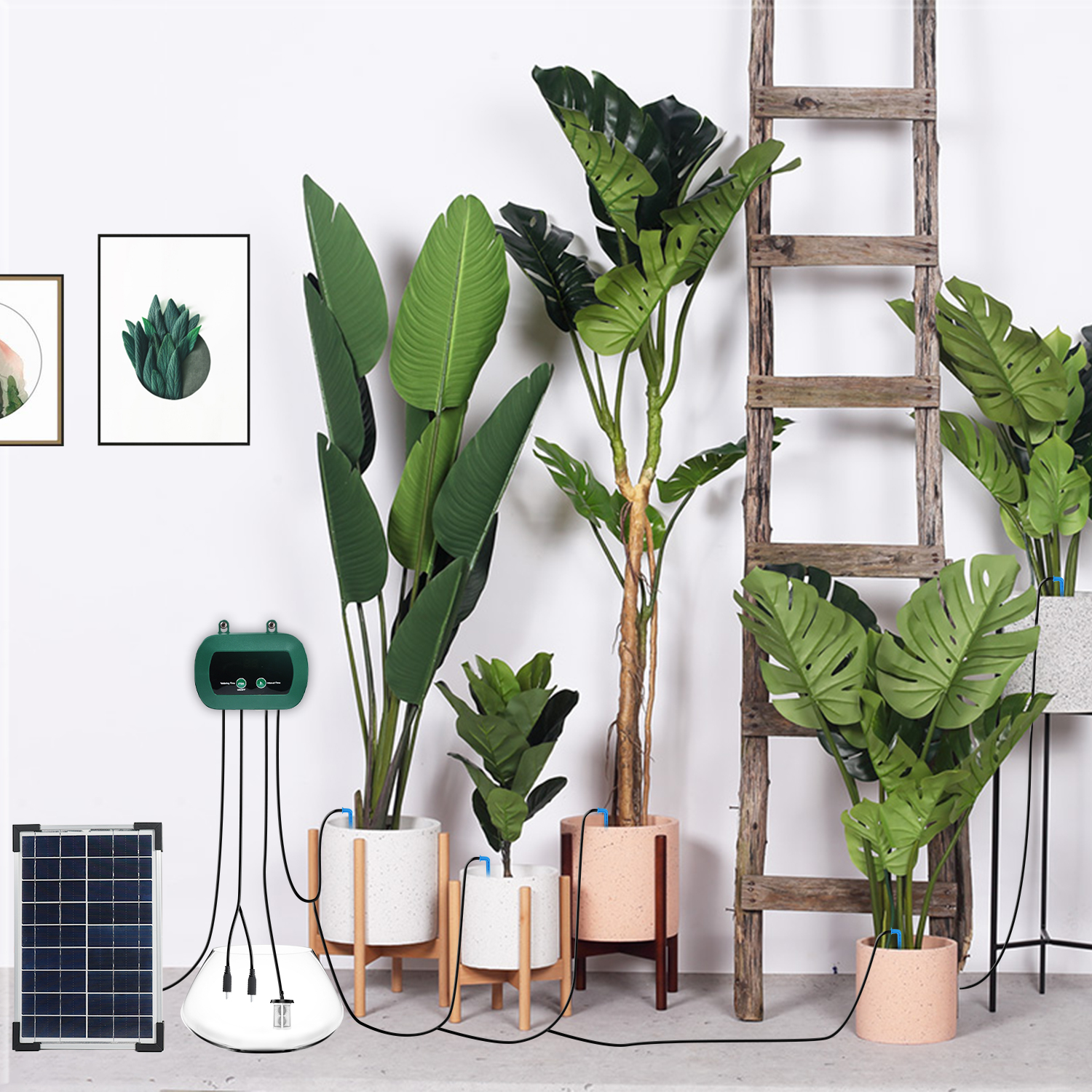 Solar Hydroponics Equipment  M - Smart Garden Usa 리뷰 및 가격