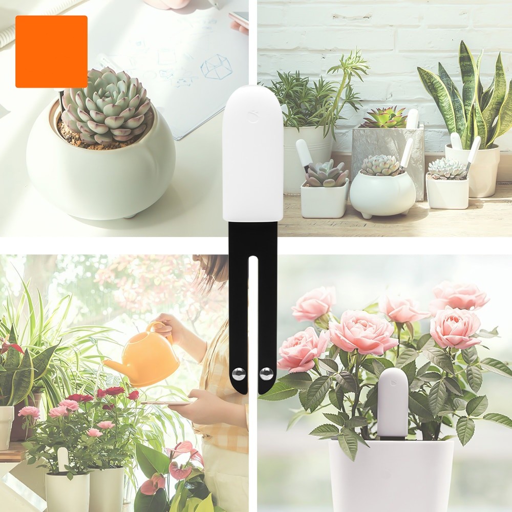 HHCC Smart Flower Flora Monito - Smart Garden Xiaomi 리뷰 및 가격