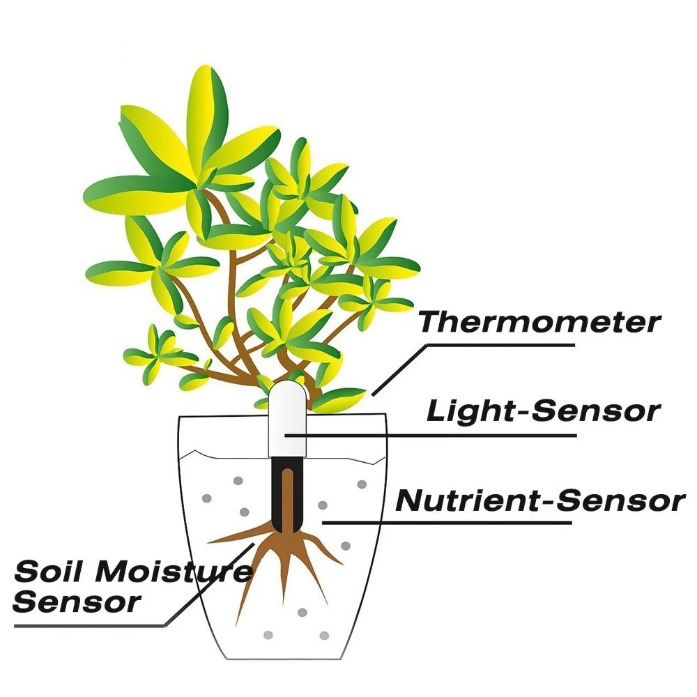 HHCC Flower Monitor Flora Gard - Smart Garden Xiaomi 리뷰 및 가격