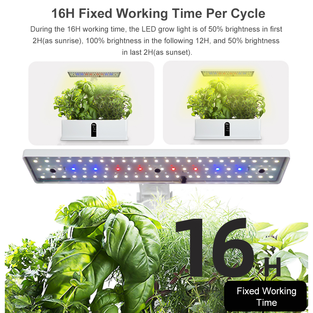 Smart Hydroponics Growing Syst - Smart Garden Nursery 리뷰 및 가격