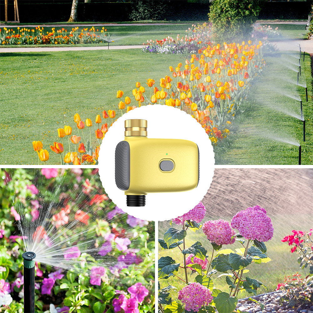 Wholesale Smart Digital  Water - Smart Garden Usa 리뷰 및 가격