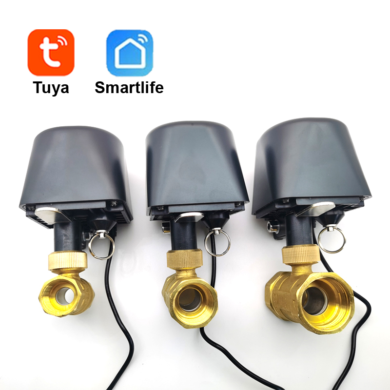 Tuya WiFi or Zigbee Water Valv - Smart Garden Water 리뷰 및 가격